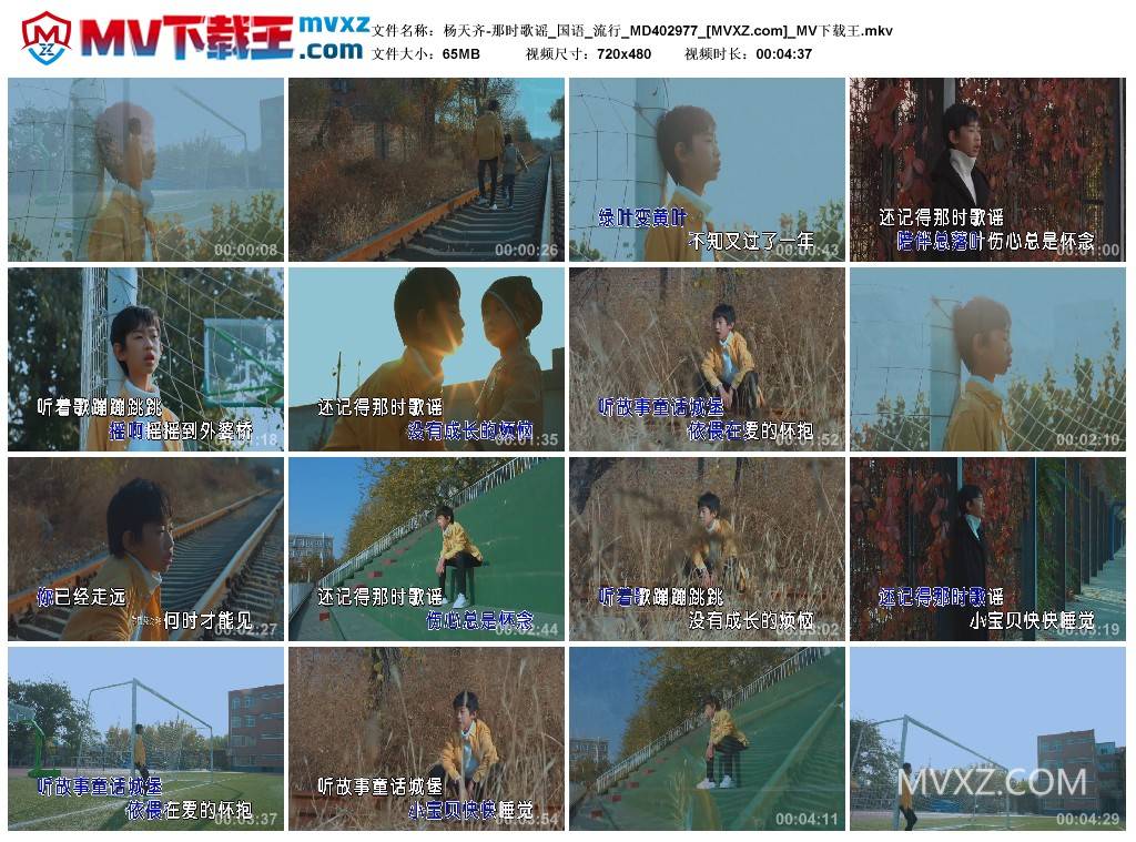 杨天齐-那时歌谣_国语_流行_MD402977